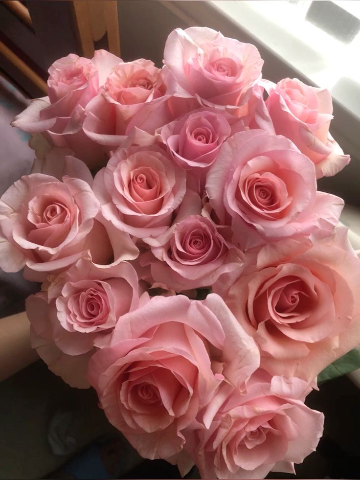 rose